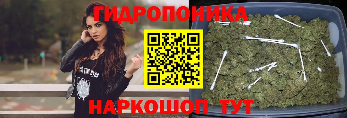 МАРИХУАНА сатива Коломна